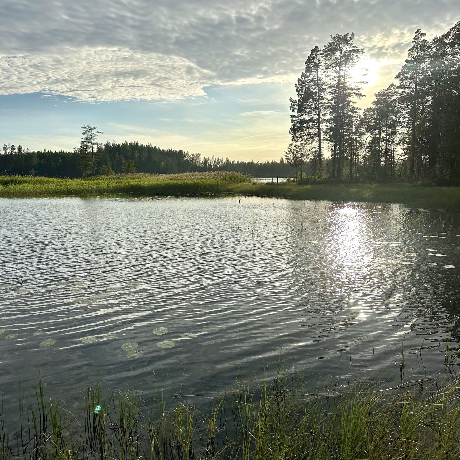 Flygvy över Svartå brukssamhälle mellan sjöarna